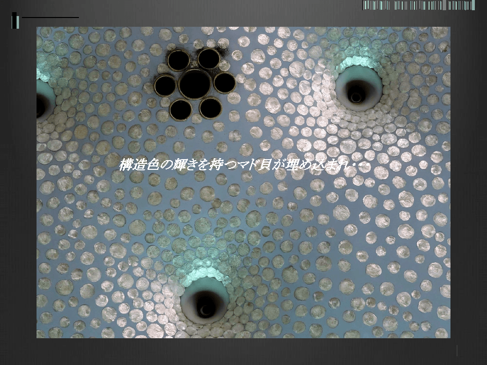 武田 第43回 資料6